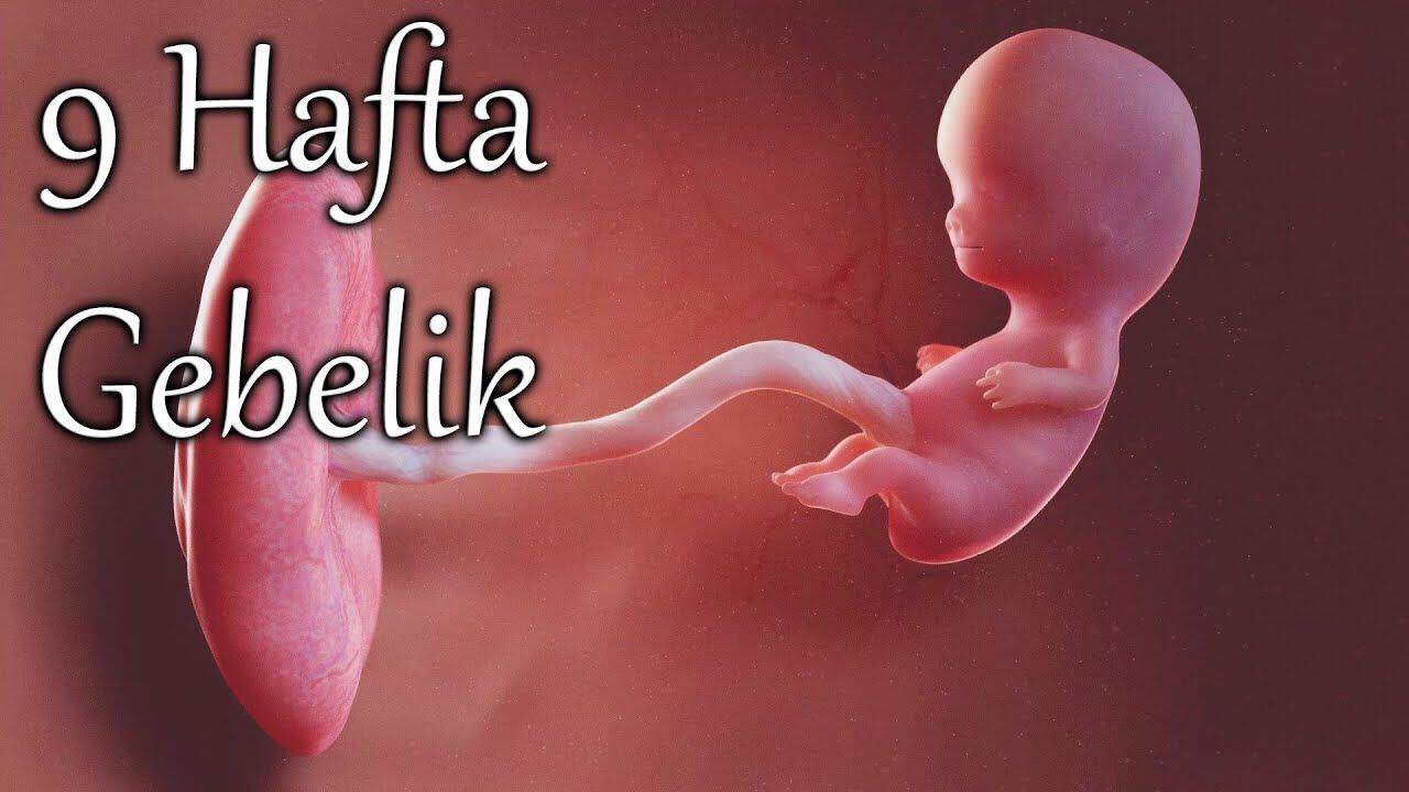 9-haftalik-gebelik.jpg