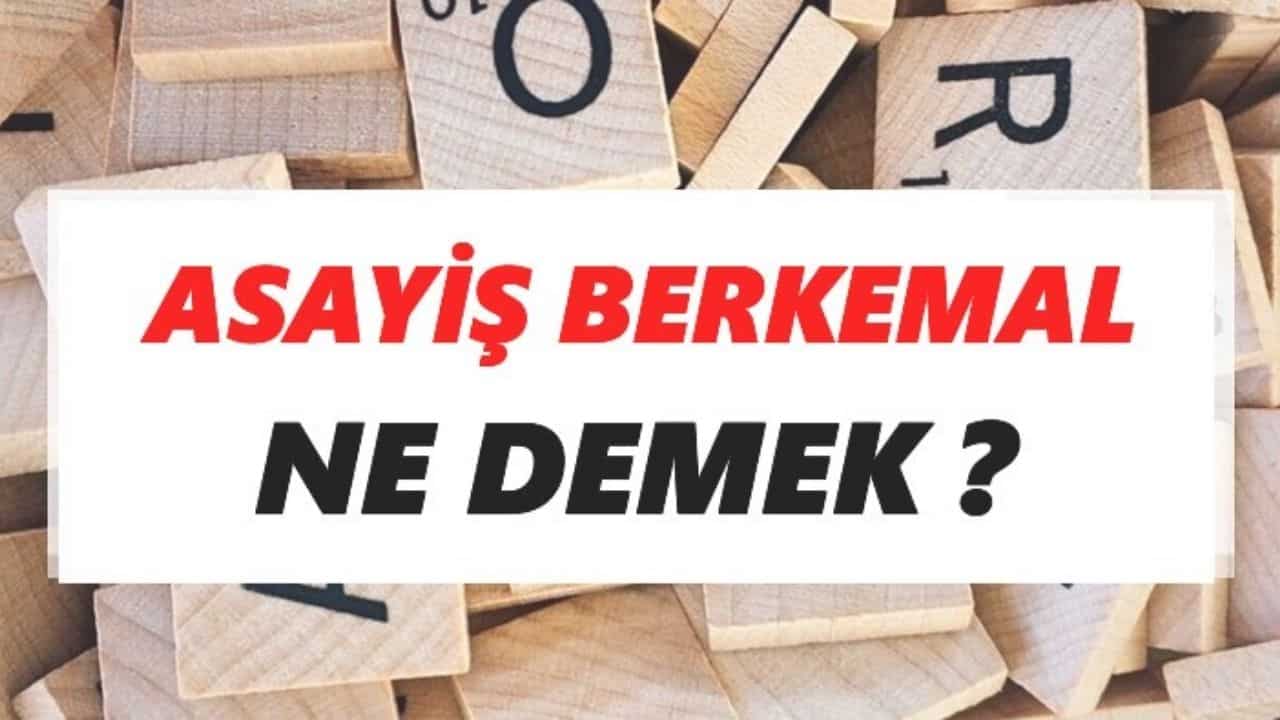 asayis-berkemal.jpg