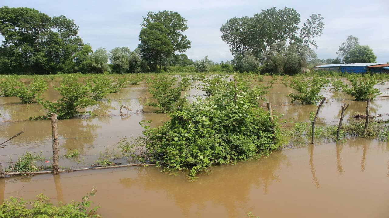 carsambayi-sel-aldi.jpg