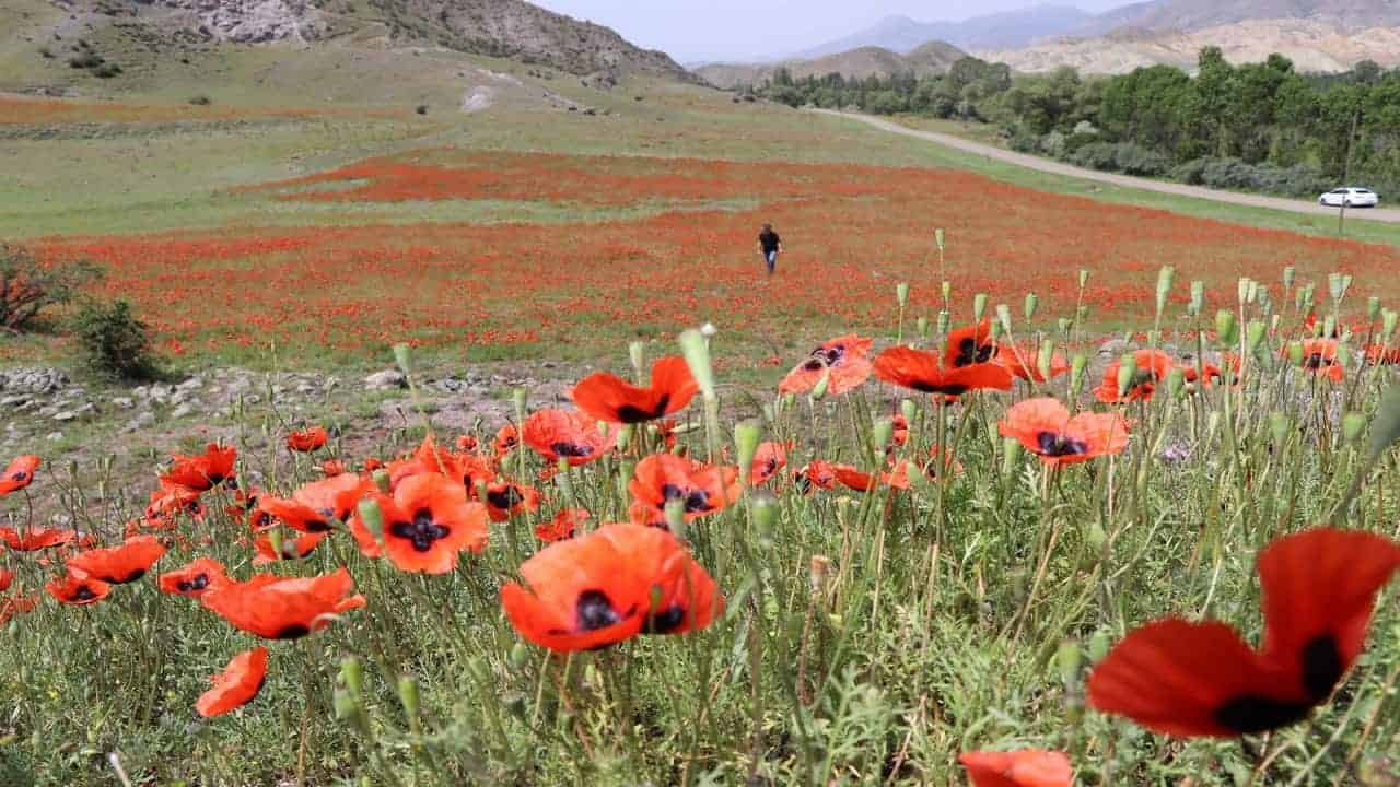 erzurum-oltu.jpg