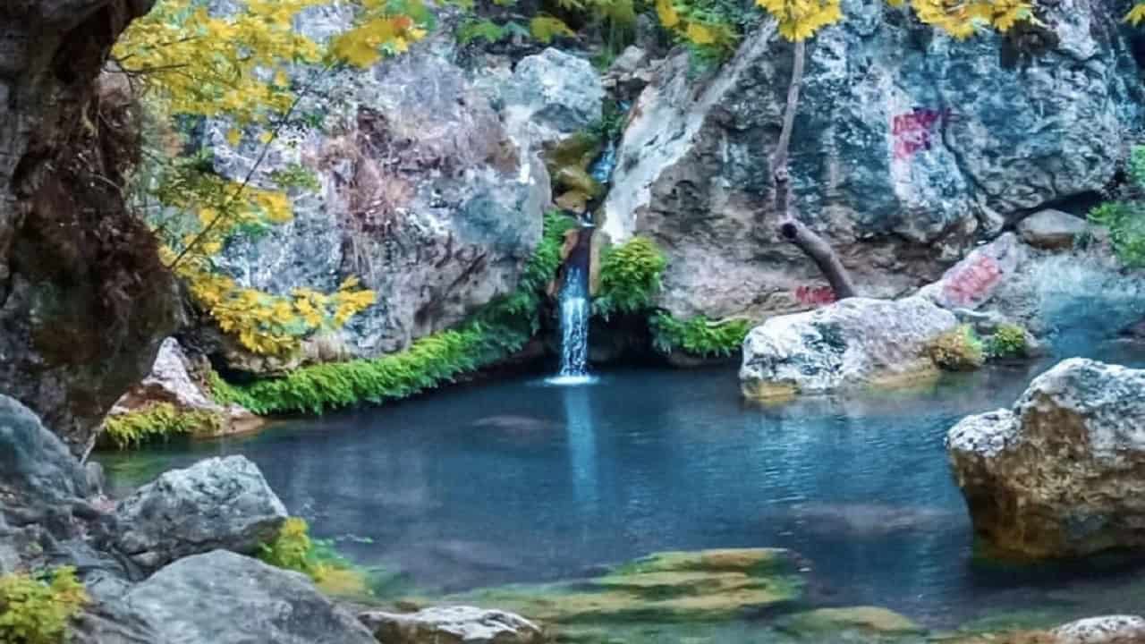 malta-selalesi-kapak.jpg