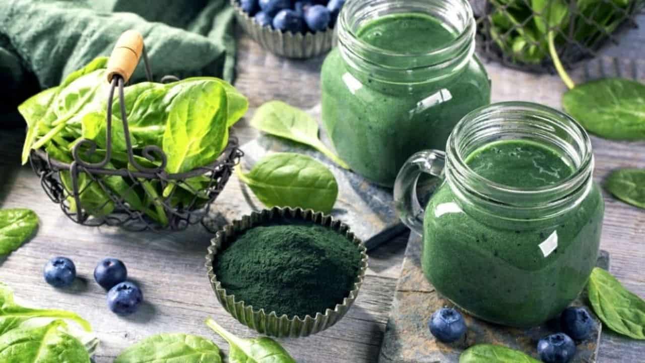 spirulina.jpg