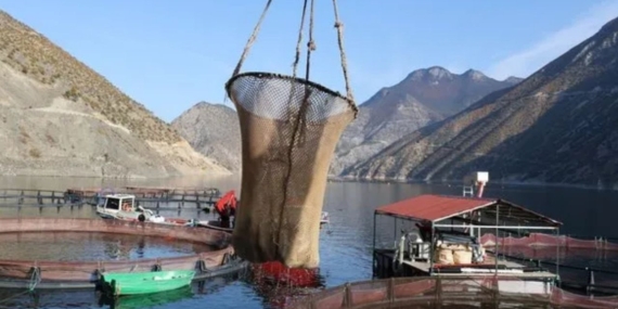 Türkiye’nin En Yüksek İkinci Barajında İlk Balık Hasadı Gerçekleştirildi