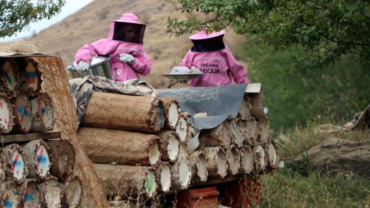 Kadın Elinin Değdiği Kara Kovan Balı Gevaş'ın Pembe Kıyafetli Arıcıları